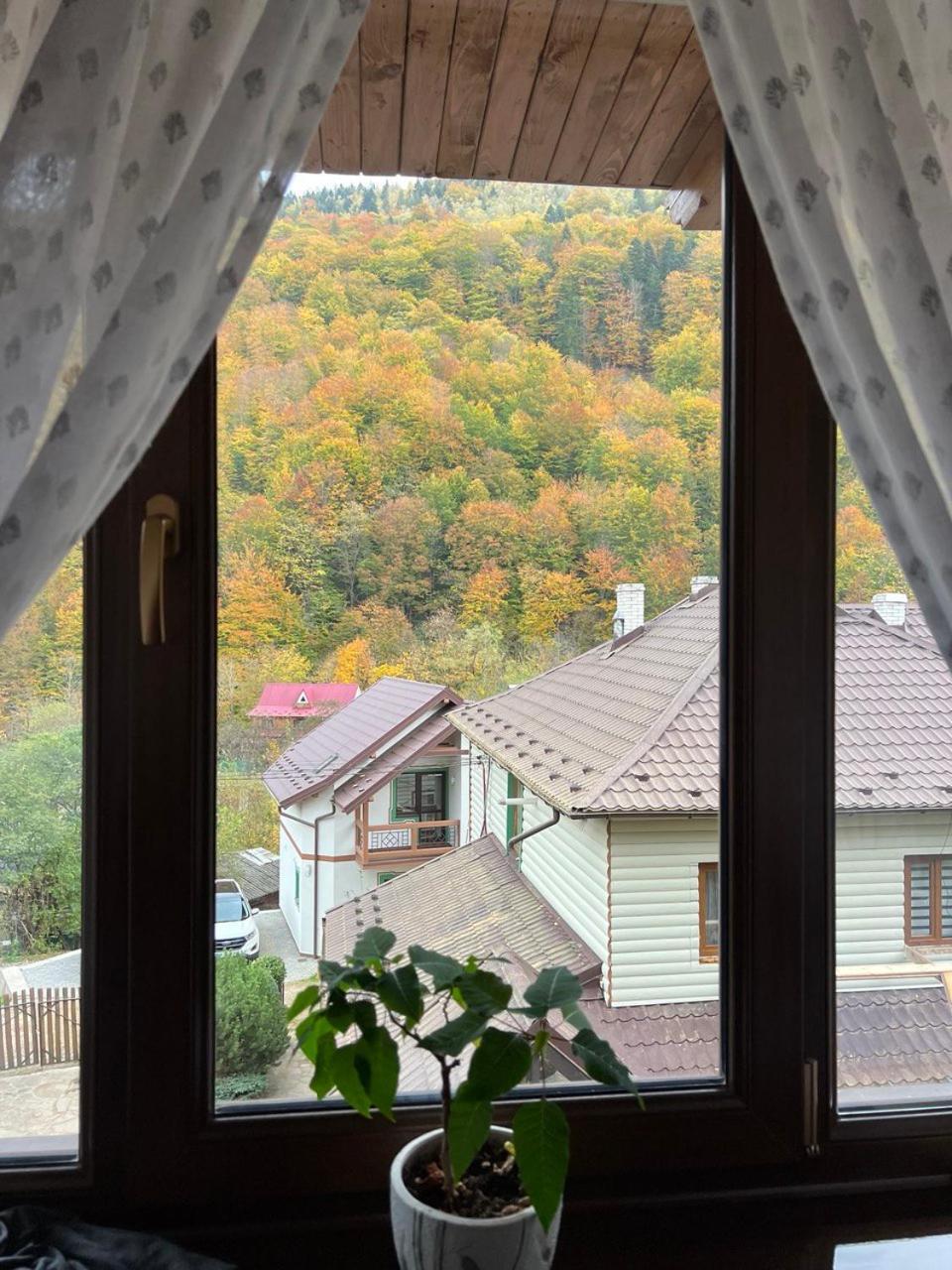 Apartments Mandry Jaremcze Zewnętrze zdjęcie